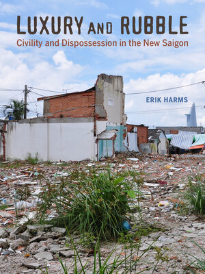 cover image of Luxury and Rubble